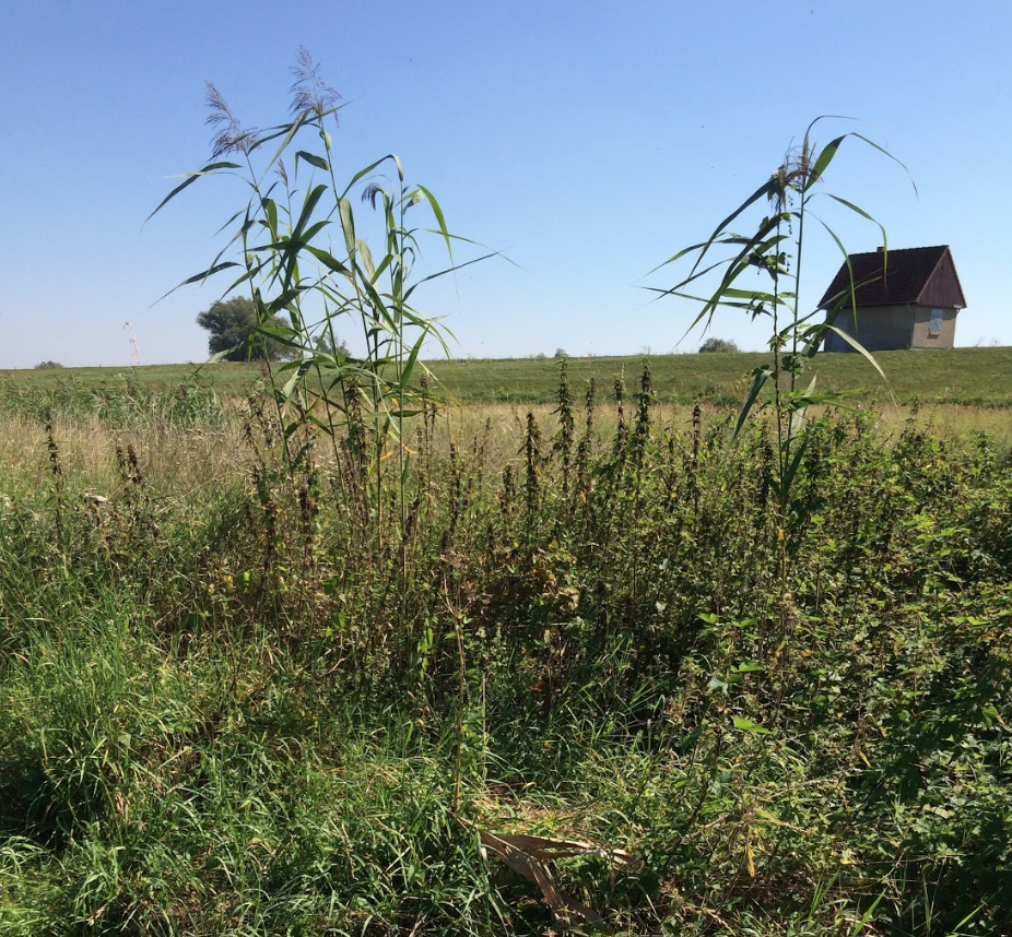 Bildschirmfoto 2019-10-02 um 07.10.26