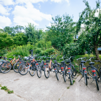 Fahrrad (1) Fahrrad (1)