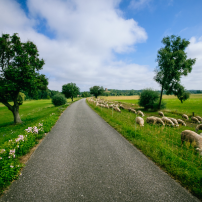 Landstrasse (1) Landstrasse (1)