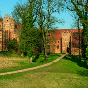 Kloster Chorin_4647 Quelle: Kloster Chorin